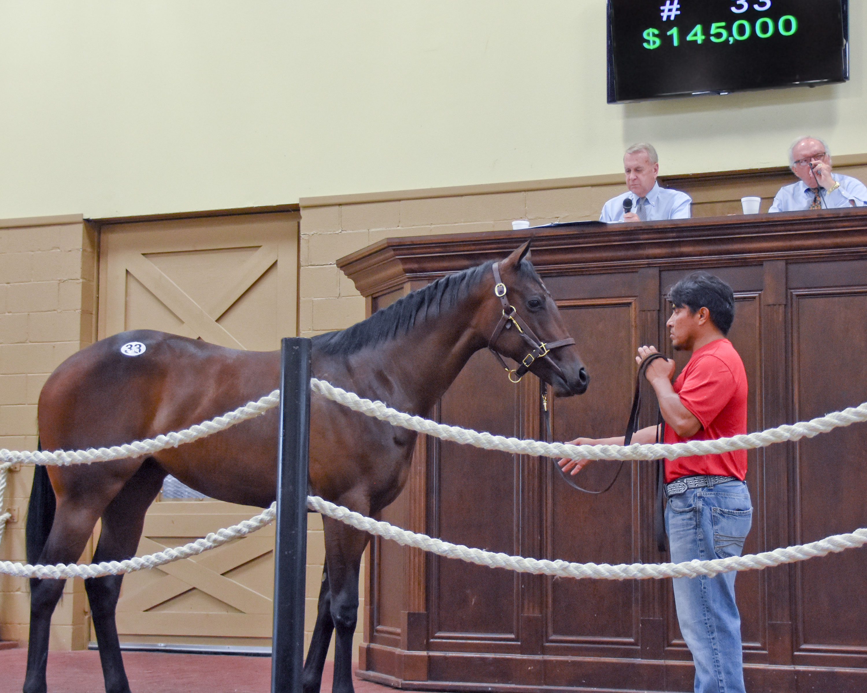 Louisiana Bred Maclean’s Music Filly Tops Equine Sales Yearling Sale